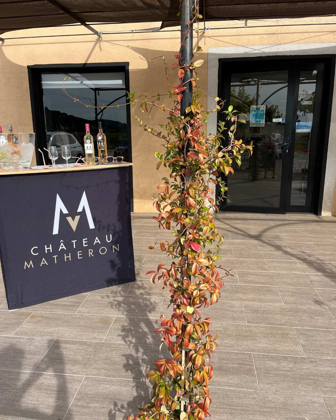 Venez déguster nos vins en compagnie de notre vigneron, Paul Bernard.